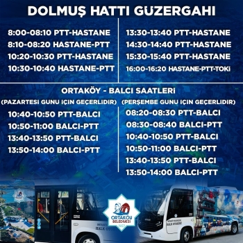 Şehir İçi Dolmuş Hattı!